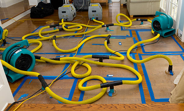 Professional Sewage Cleanup technician working in Clarksville, VA